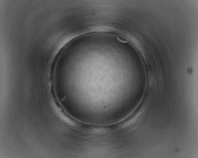 X0000093520843200710121543