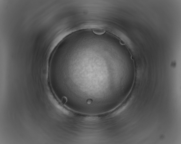 X0000093520844200710121543