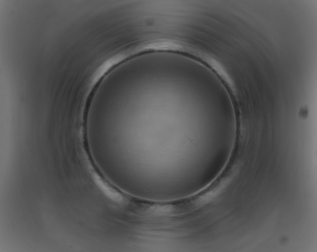 X0000093520845200710121543