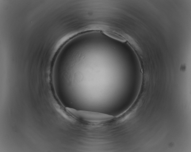 X0000093520846200710121543