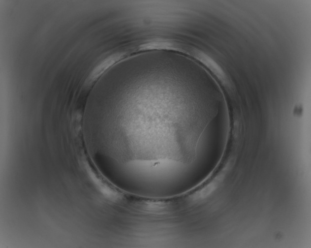 X0000093520849200710121543
