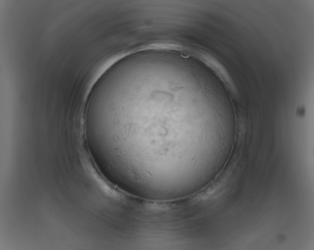 X0000093520852200710121543