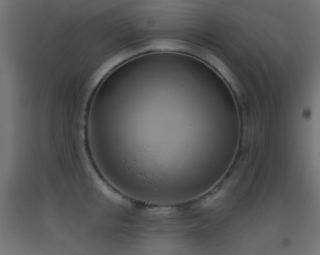 X0000093520853200710121543