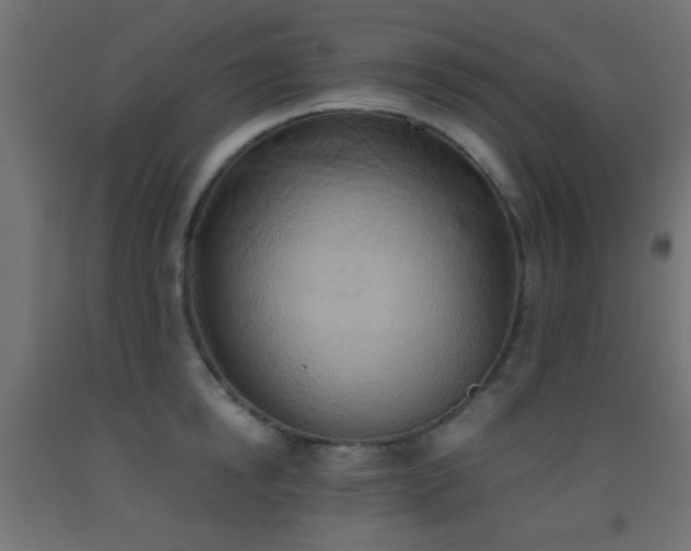 X0000093520854200710121543