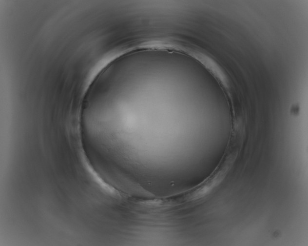 X0000093520855200710121543