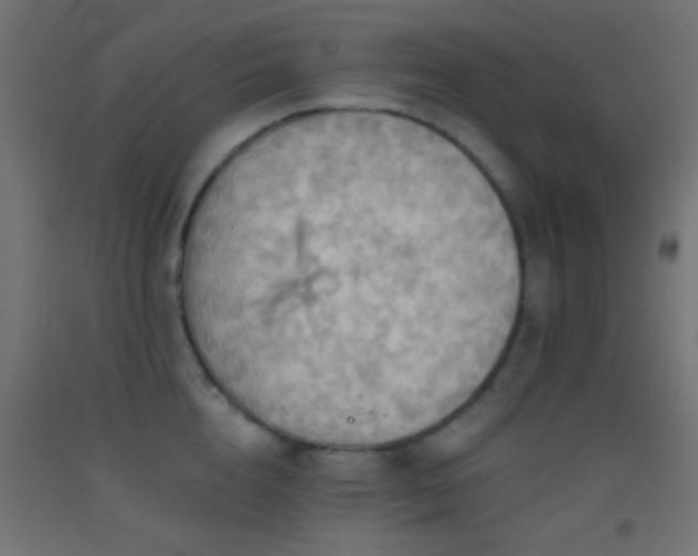 X0000093520856200710121543