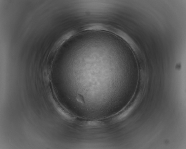 X0000093520857200710121543
