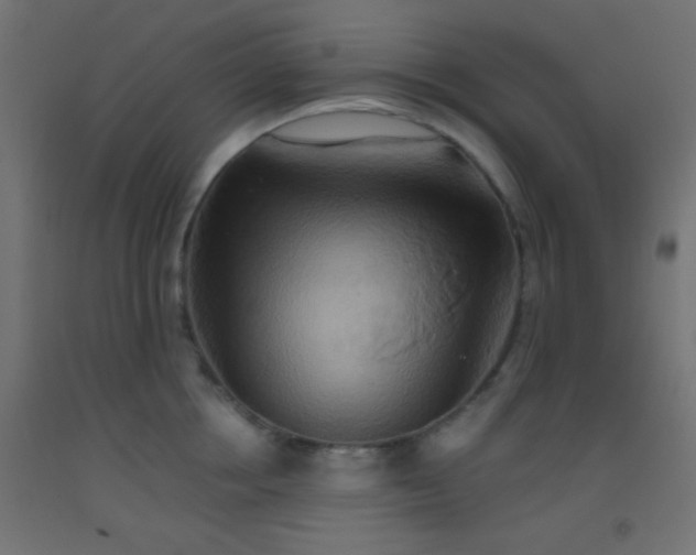 X0000093520858200710121543
