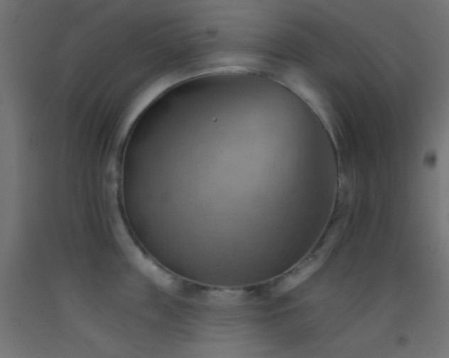 X0000093520859200710121543