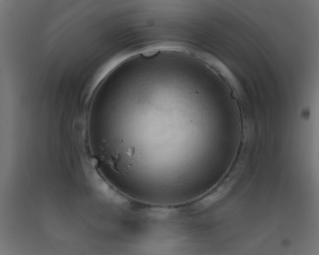 X0000093520860200710121543
