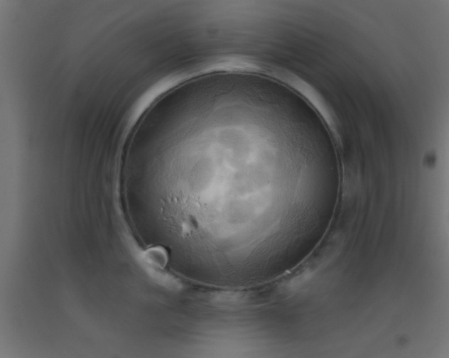 X0000093520861200710121543