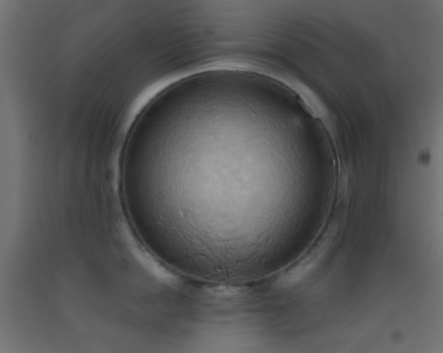 X0000093520862200710121543