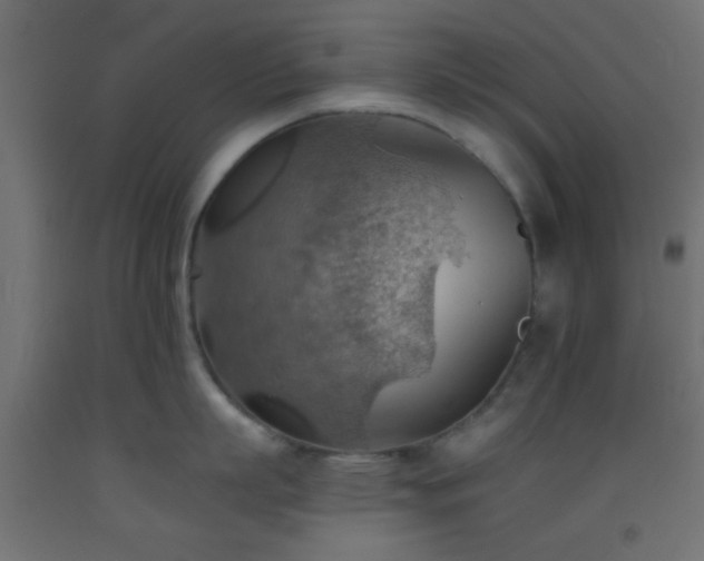 X0000093520863200710121543
