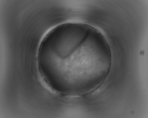 X0000093520864200710121543