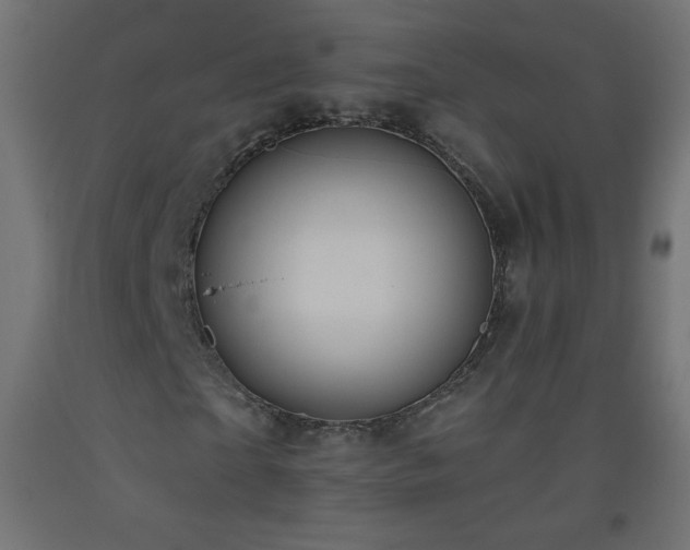 X0000093520865200710121543