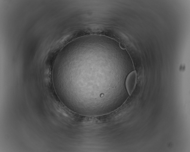 X0000093520866200710121543
