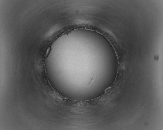 X0000093520869200710121543