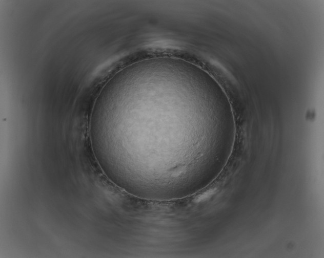 X0000093520870200710121543