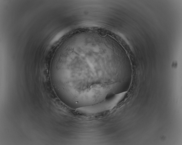 X0000093520871200710121543