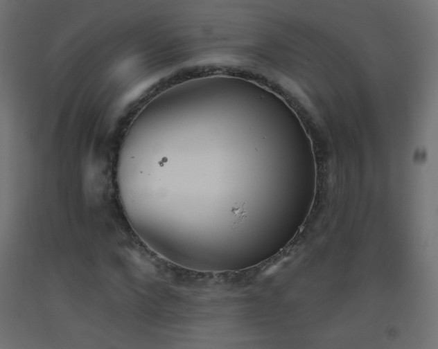 X0000093520872200710121543
