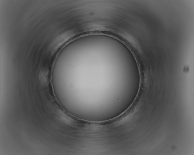 X0000093520873200710121543