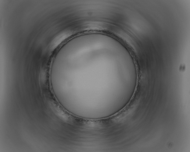 X0000093520874200710121543
