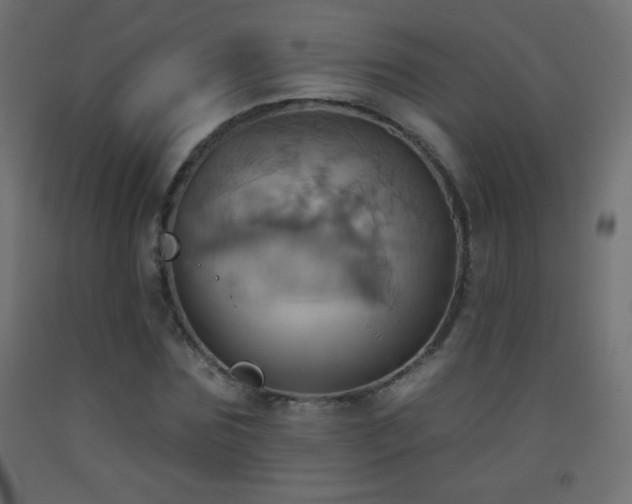 X0000093520875200710121543