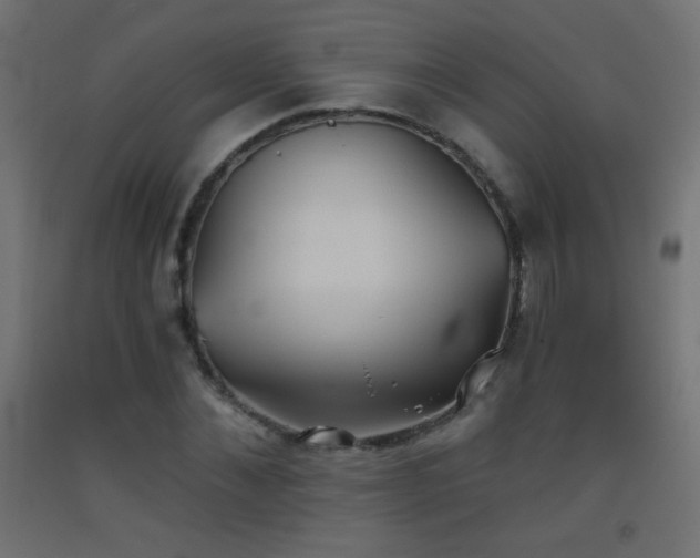 X0000093520876200710121543