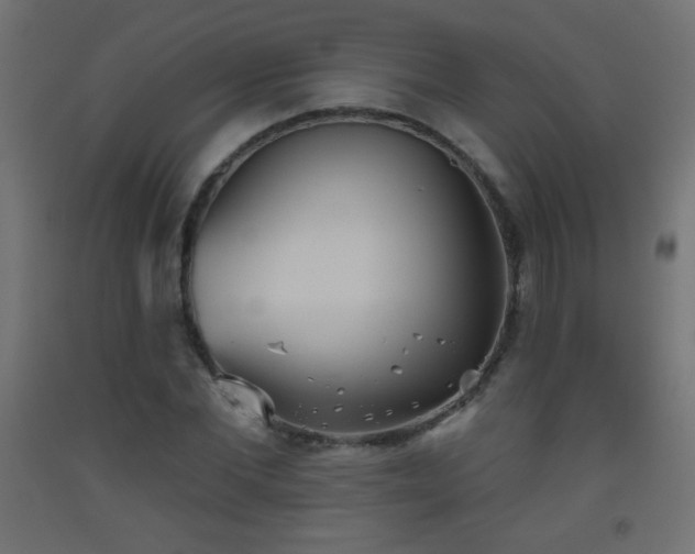 X0000093520877200710121543