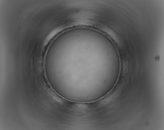 X0000093520878200710121543