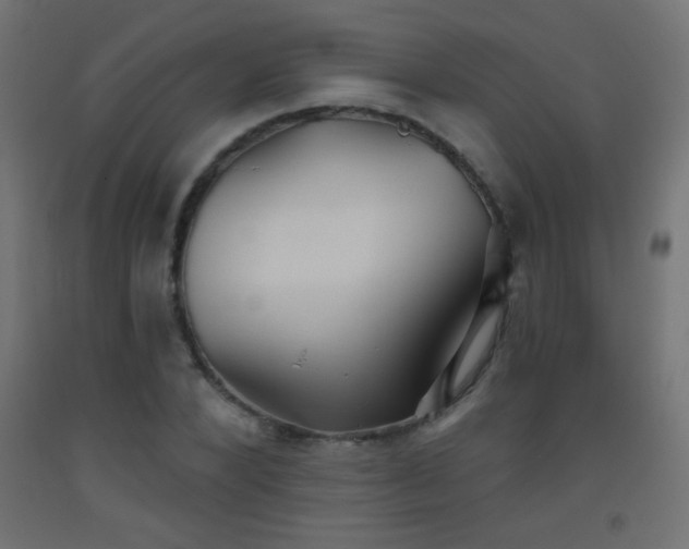 X0000093520880200710121543