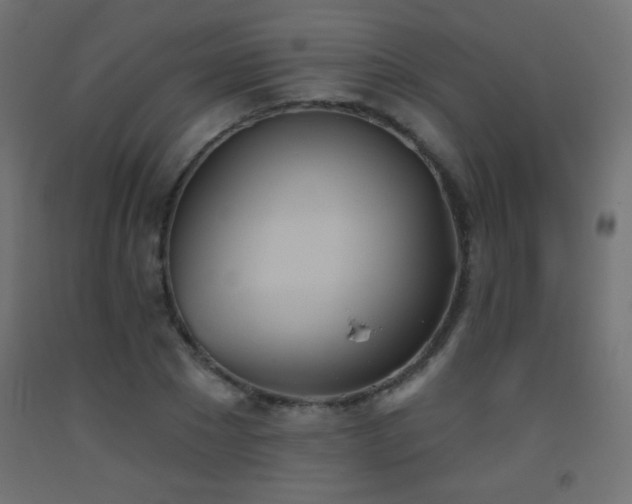 X0000093520881200710121543