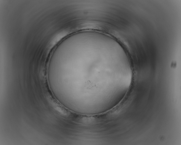 X0000093520882200710121543