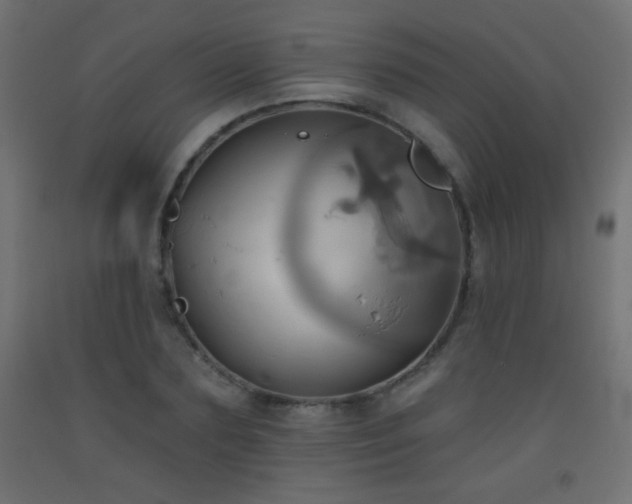 X0000093520883200710121543