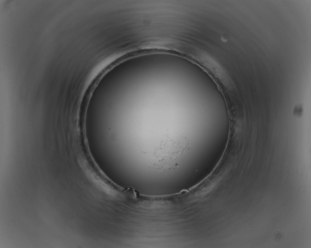 X0000093520884200710121543