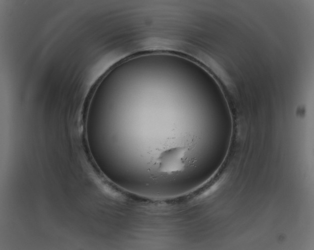 X0000093520885200710121543