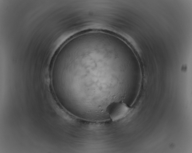 X0000093520887200710121543