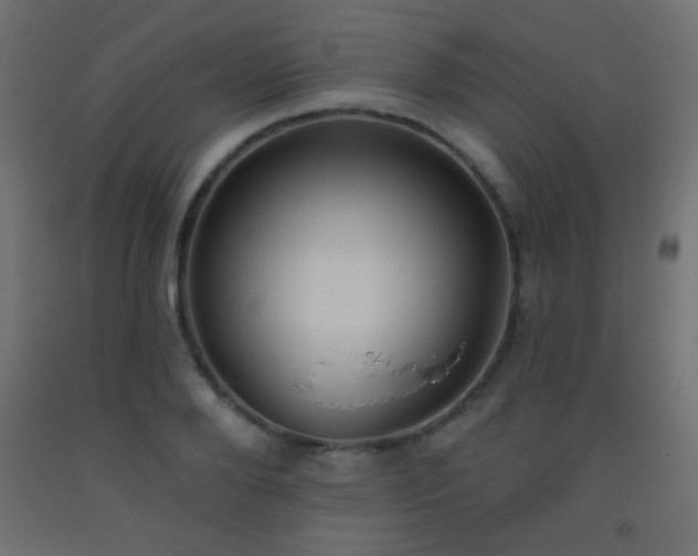 X0000093520888200710121543