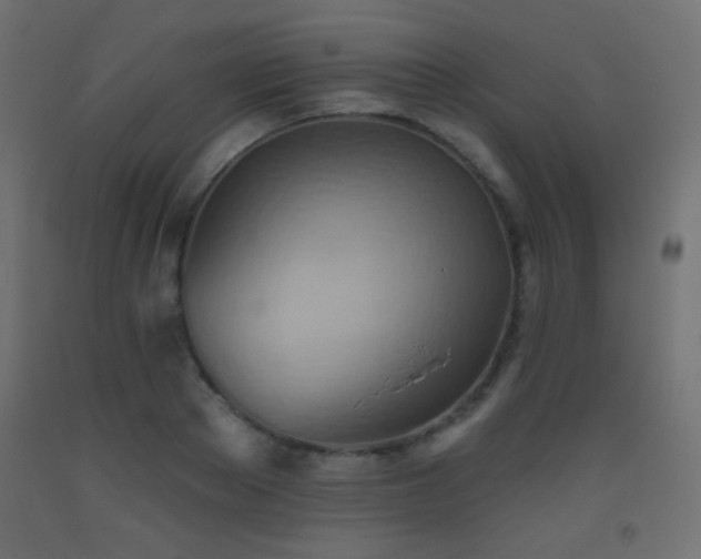 X0000093520889200710121543