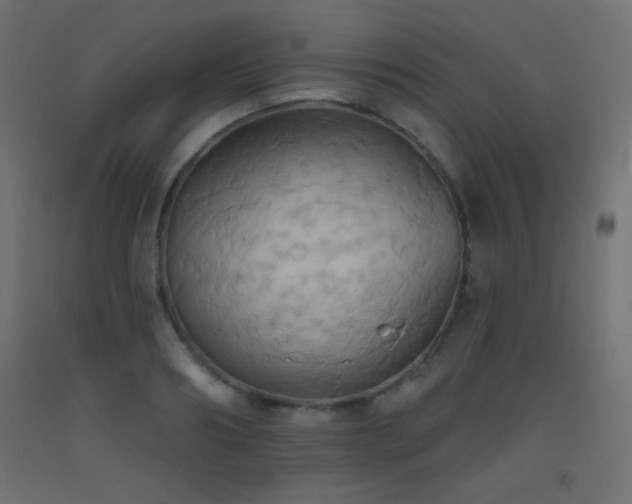 X0000093520890200710121543