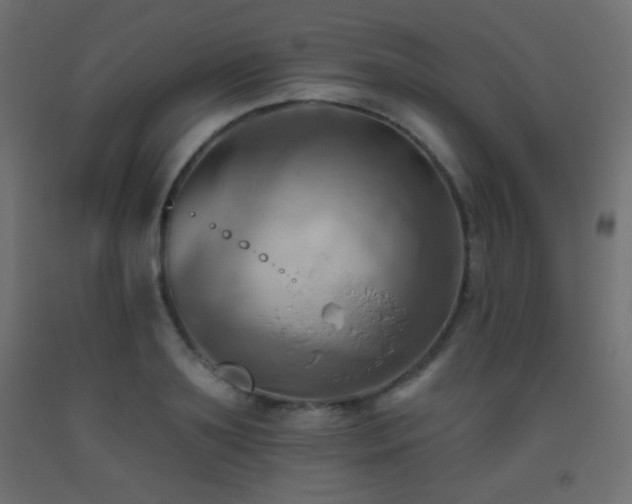 X0000093520891200710121542