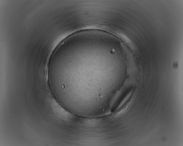 X0000093520892200710121542