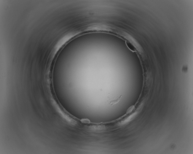 X0000093520893200710121542