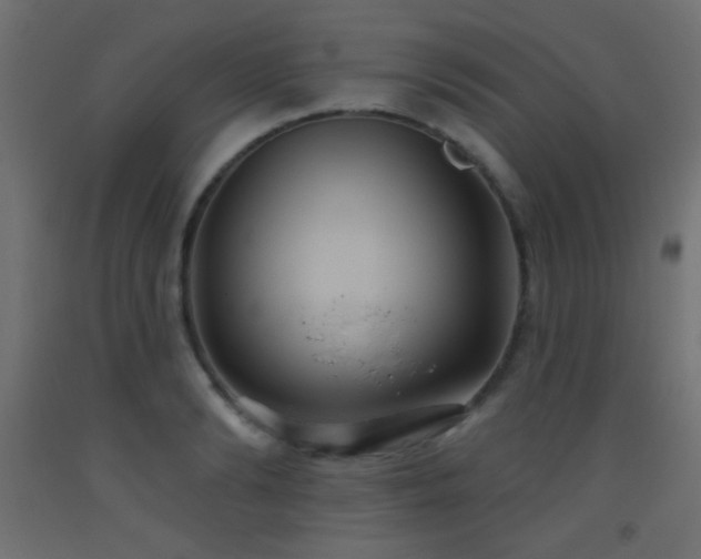 X0000093520894200710121542