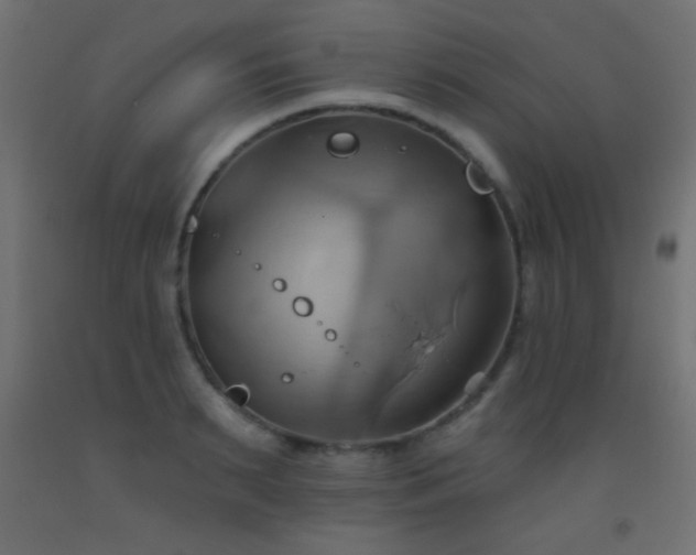 X0000093520895200710121542