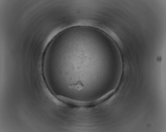 X0000093520896200710121542