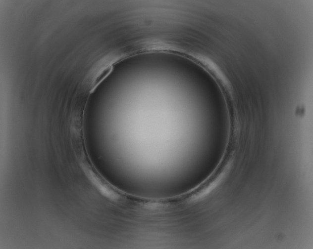 X0000093520897200710121542