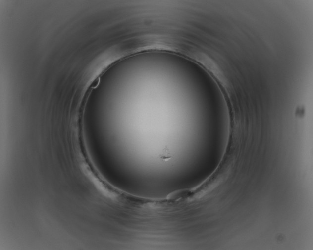 X0000093520898200710121542
