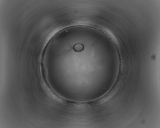 X0000093520899200710121542