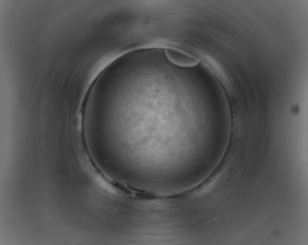 X0000093520900200710121542